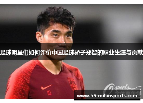 足球明星们如何评价中国足球骄子郑智的职业生涯与贡献